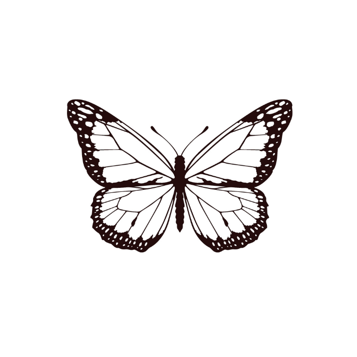 SIOOU Temporary Tattoo Butterfly (x5)