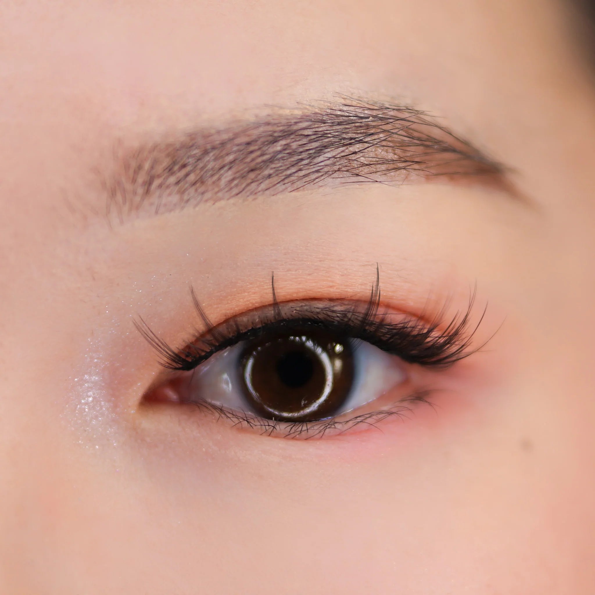 KARA BEAUTY False Eyelashes - Kawaii